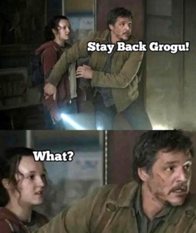The meme is a screenshot from the TV show "The Mandalorian" where a character says "This is the way" but is interrupted by a character named "Grogu" (also known as "Baby Yoda") who says "I am 900 years old". The meme is a play on this quote, with the character saying "I am 900 years old" but being interrupted by someone saying "No, no, no, you're not 900 years old, you're just a baby" and the response is "I am 900 years old, I am!"